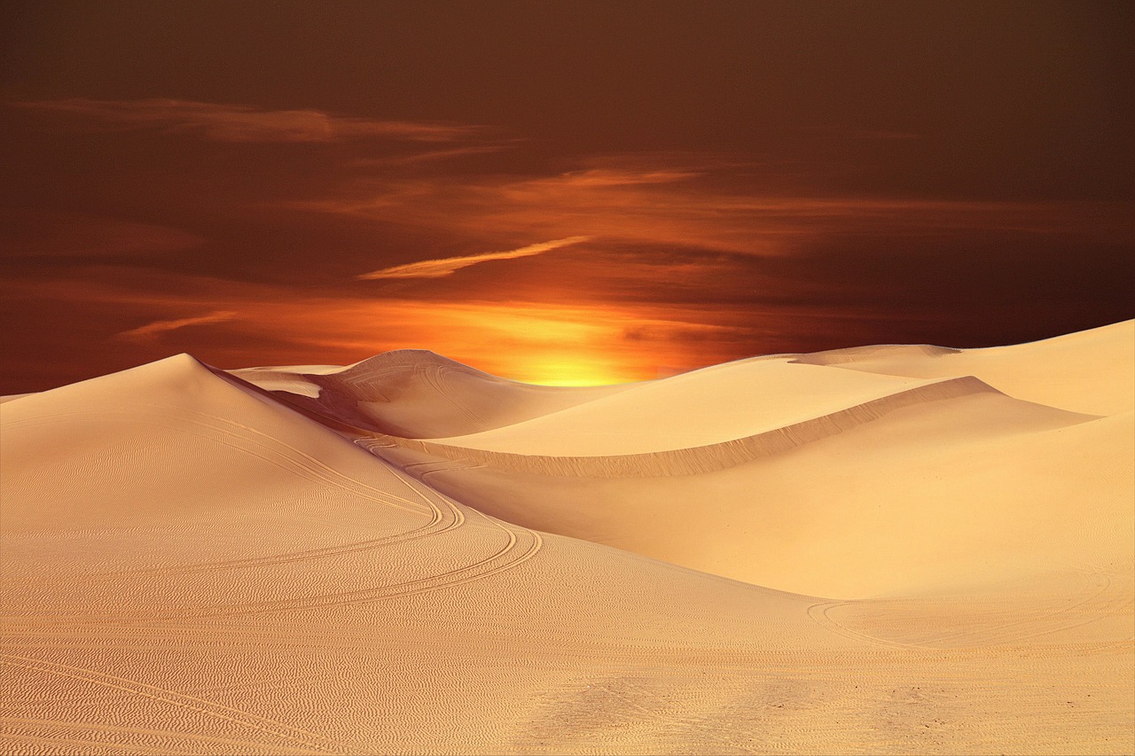 2Nights & 3Days Desert Hotel Stay Packages @ Rs. 10999