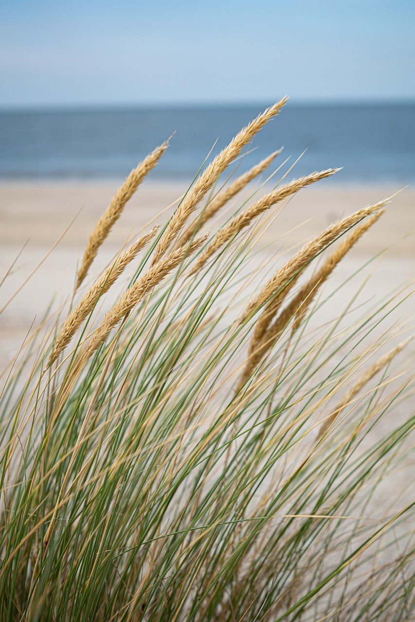 Beaches